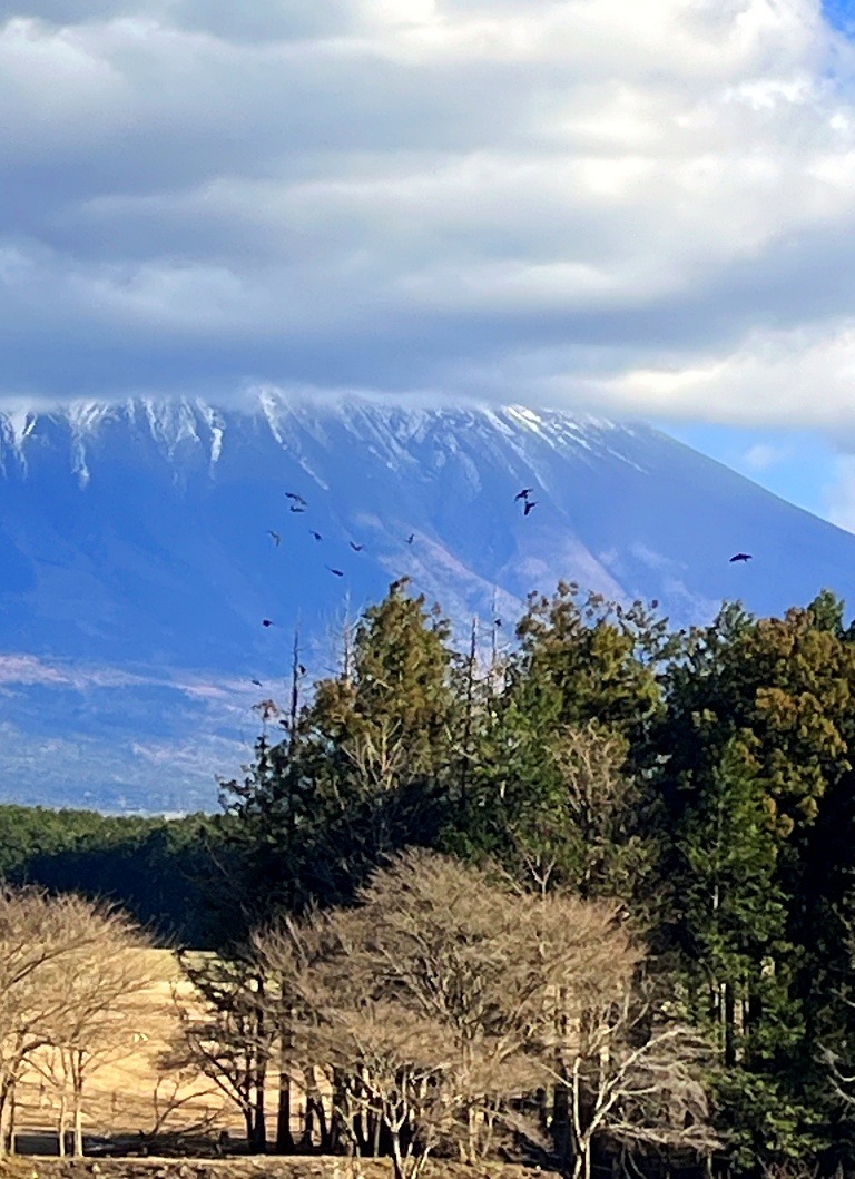 ふもとっぱらサイト　富士山側最奥