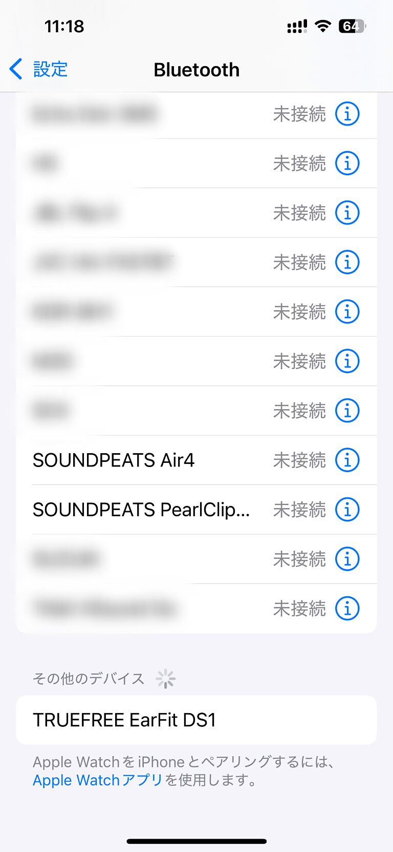 TRUEFREE EarFit DS1を探して