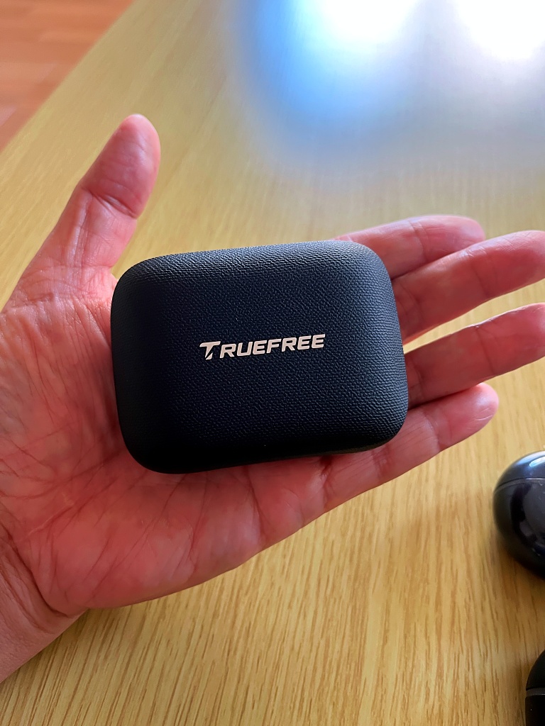 TRUEFREE EarFit DS1