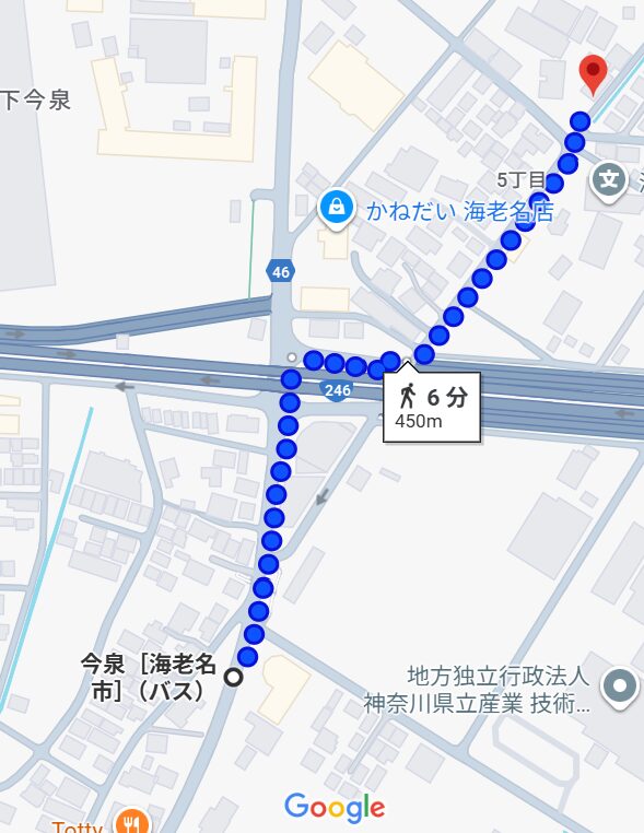 徒歩経路