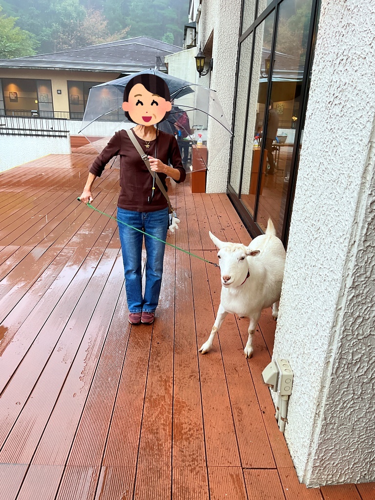 やぎさん　お散歩