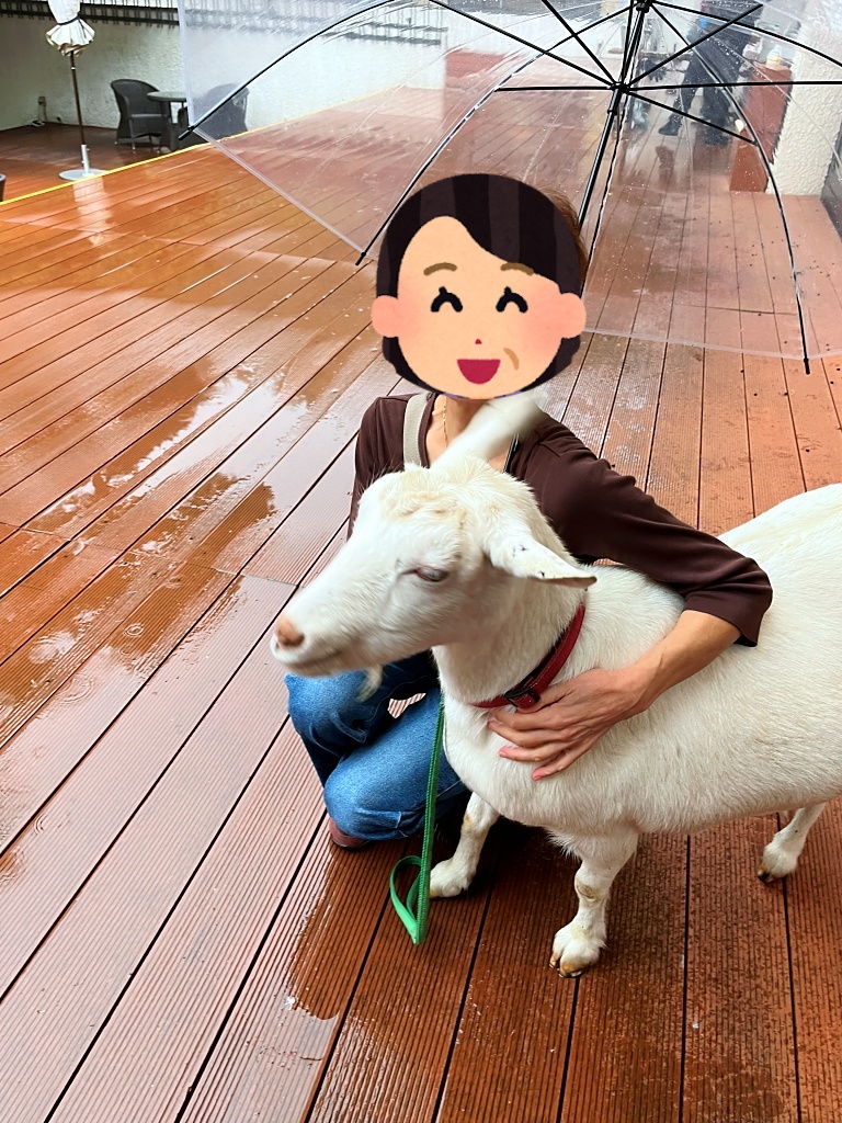やぎさん　ふれあい