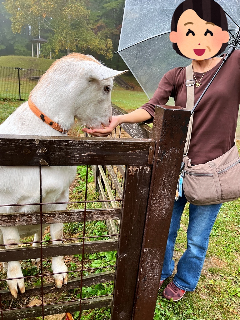 やぎさん　餌やり
